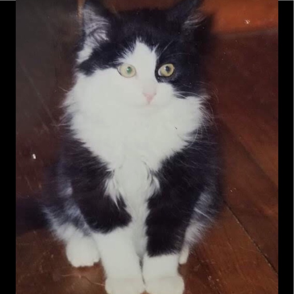 Terrible Twain a.k.a. Uther Twain ❤️